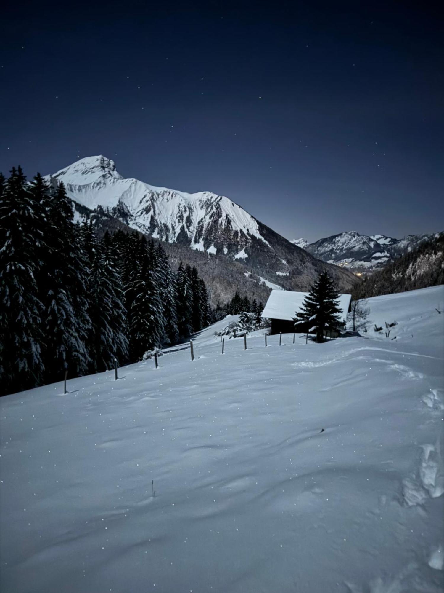 Charming, Cosy Chalet Nestled In A Breathtaking Surrounding With Spectacular, Stunning Mountain Views Abondance Kültér fotó